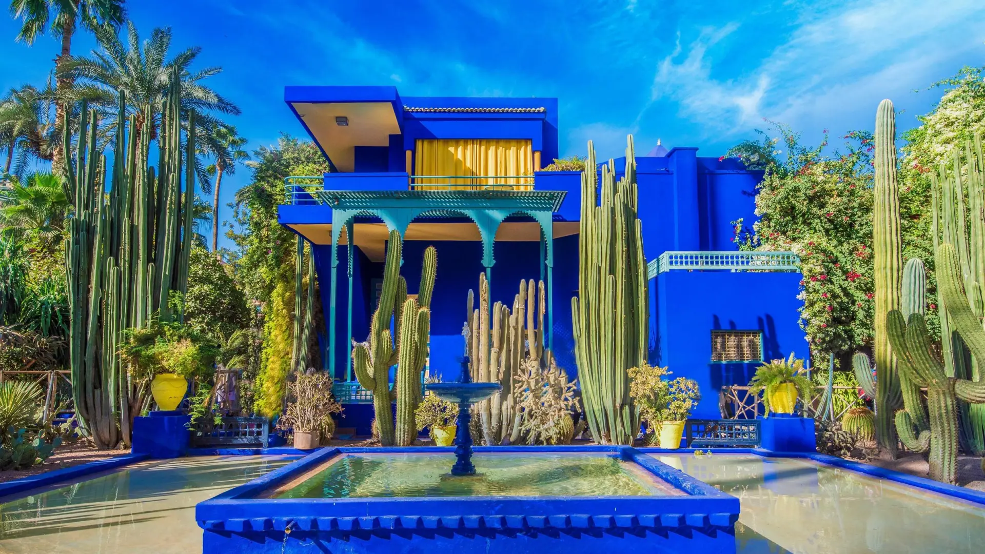 Real estate agency in Marrakech: Majorelle museum